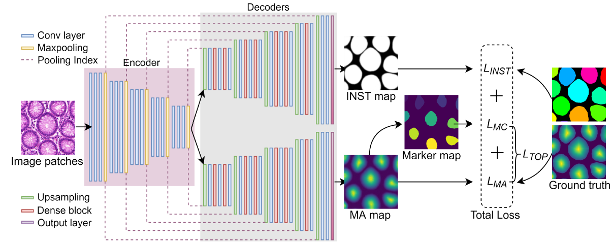 TA-Net architecture
